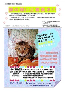 36502003_2018279934914012_5664926782407573504_n