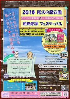 FB_IMG_1536629145114