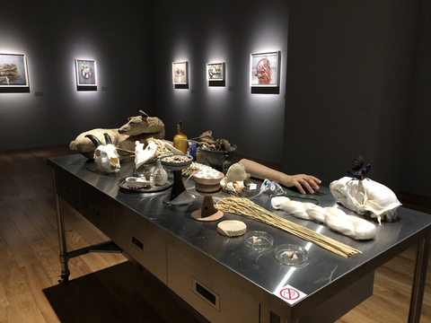 諏訪敦 展示風景