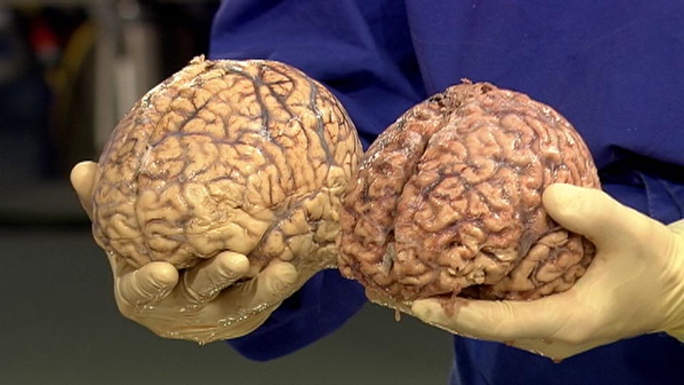 ちょっと宣伝タイム 注意 グロ画像あり death cult office