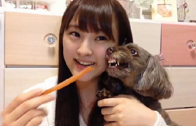 UekiNaoDog2016061102