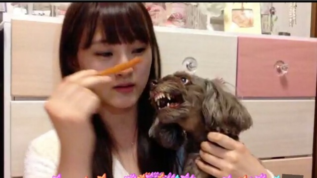 UekiNaoDog2016061101