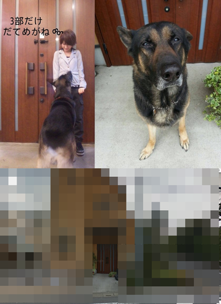 IsidaHarukaHome20140921000