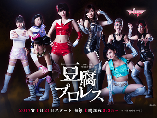 サイゾー「AKBと新日がタッグを組んでプロレスhttp://shiba.2ch.net/test/read.cgi/akb/1484646887/