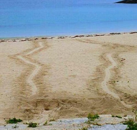 img_4855a4288bb3099d7f7b7d3667dd7a3268098