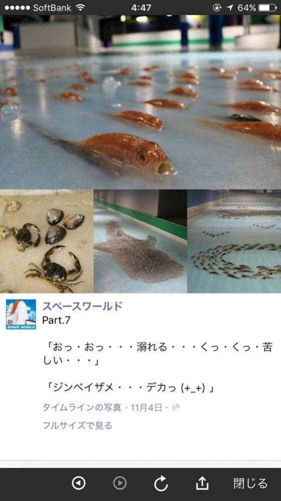 7CRABY8