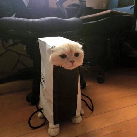CblWLp6UYAALRQ_