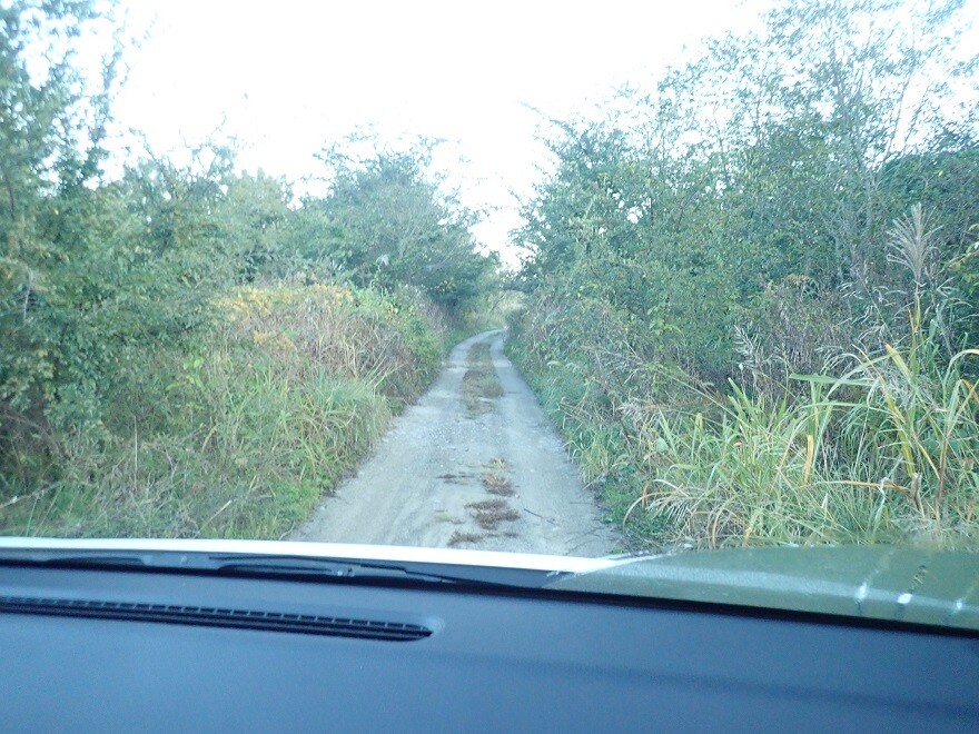年11月中旬 和歌山県竹房橋周辺でソロキャン Hachiの渓流と写真