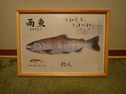 尺アマゴ 自作デジタル魚拓ほぼ完成 Hachiの渓流と写真
