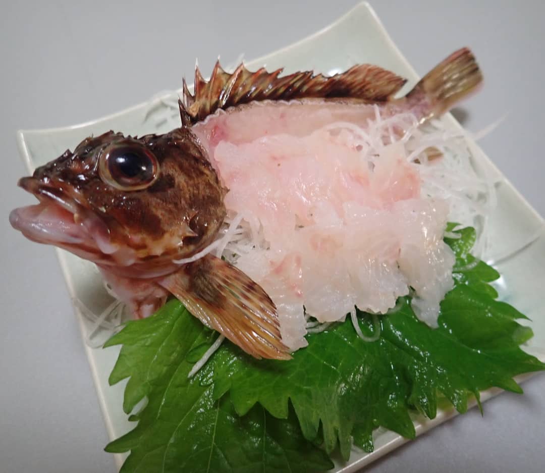 釣ったガシラは姿造りで頂きました Hachiの渓流と写真