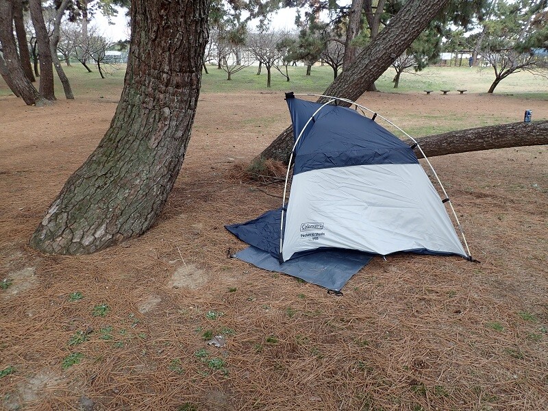 Coleman ポケットEZシェード Coleman(コールマン) シェード ポケットイージーシェード 3人用 1