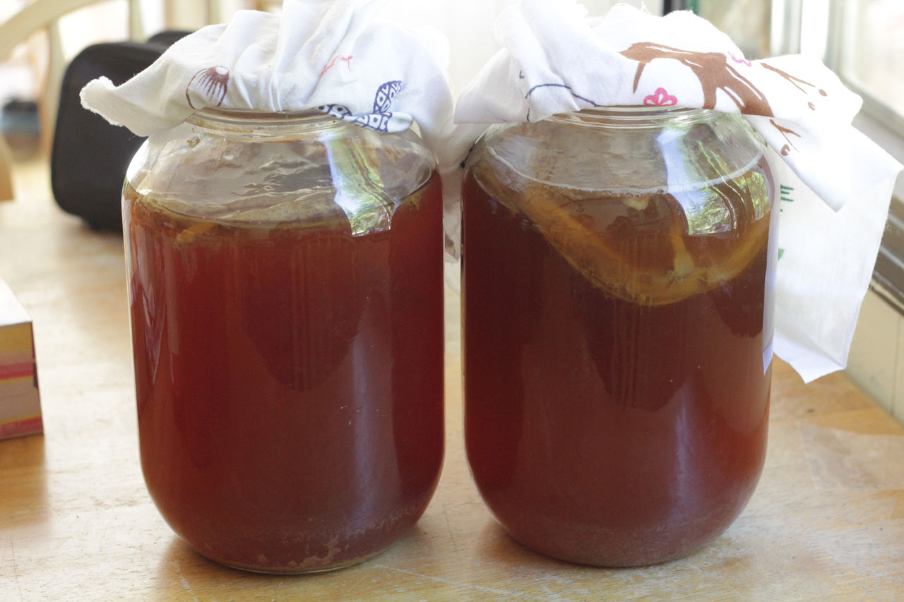 紅茶キノコ Kombucha Living In The Country 田舎暮らし In Canada 紅茶キノコ Kombucha Living In The Country 田舎暮らし In Canada