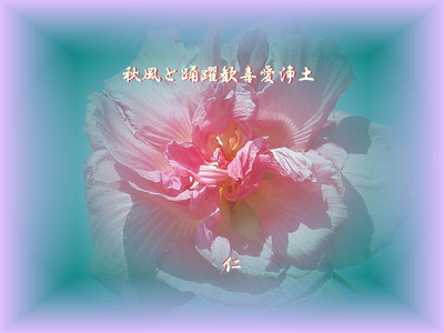 taokosin09r082404tr2204akikazetoyoyaku1w