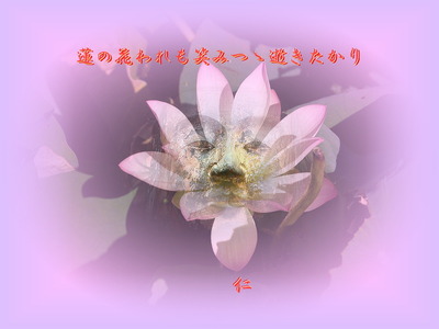 kosinku47601hasunohanawaremo1r