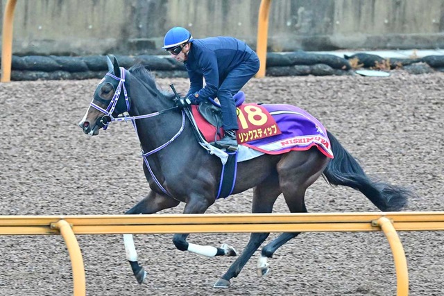 外厩情報・リンクスティップ