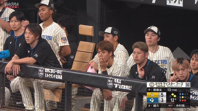 2024_0712_223102_281