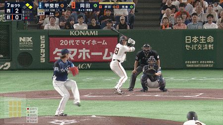 新規
