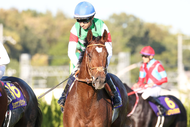 タスティエーラ