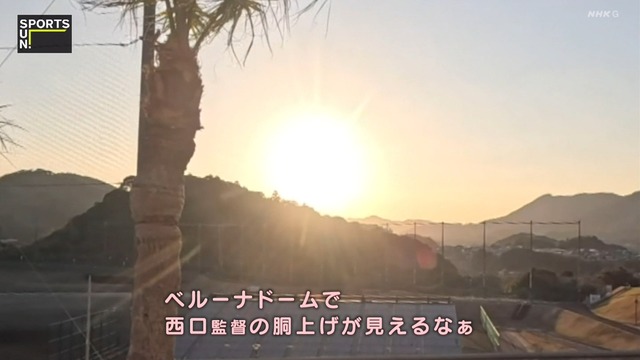 2025_0223_232804_683