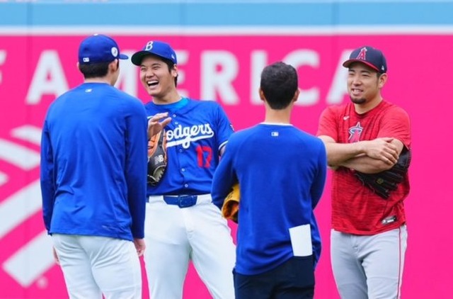 S__213417996-650x429