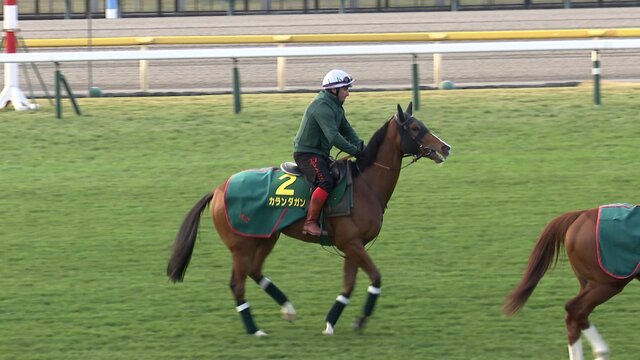 20251128-01067257-fnn-000-1-view