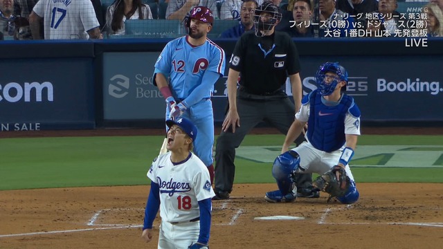 2025_1009_123302_879