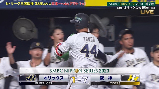 2023_1105_215318_504