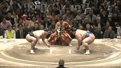新規