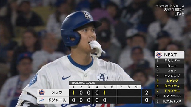 2025_0603_132818_419