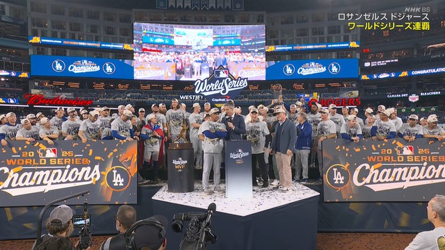 2025_1102_134632_340