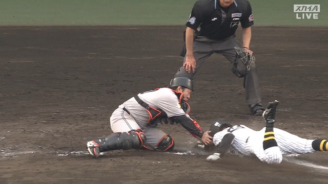 2025_0427_174828_415