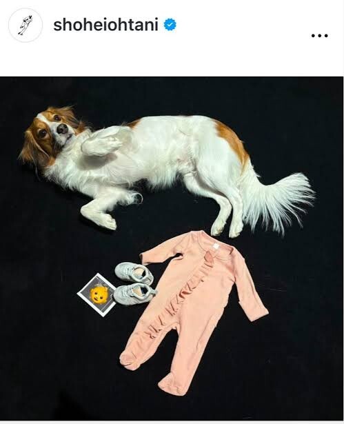 prpJ8Yd