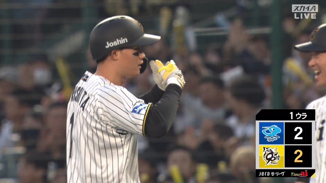 2025_0411_183041_231