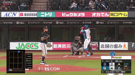 新規