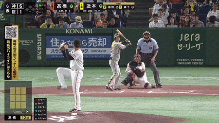 新規