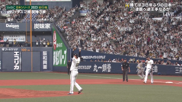 2023_1104_214033_722