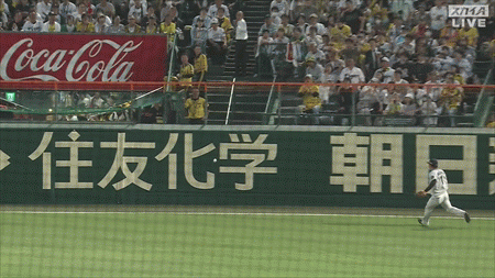 新規