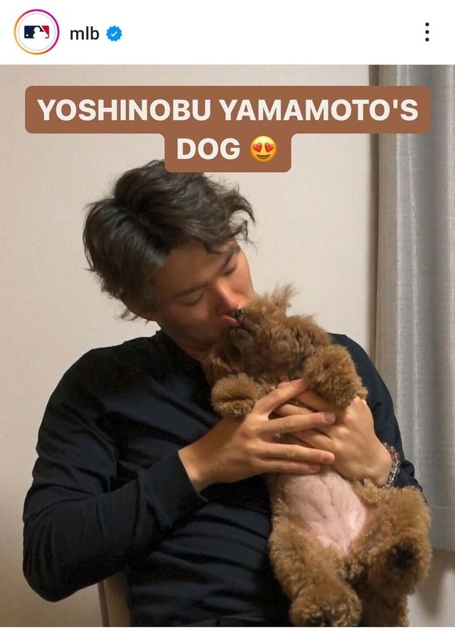 imgi_1_20240104-OHT1I51063-L