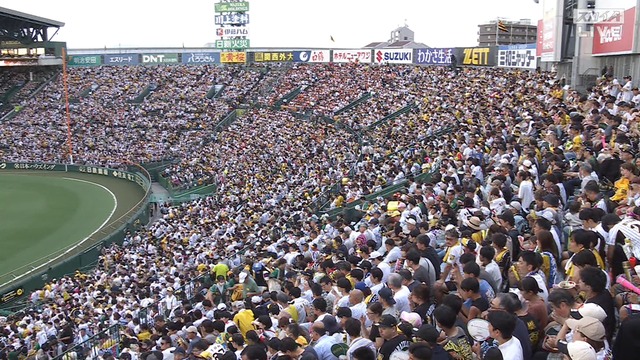 2024_0730_191212_867