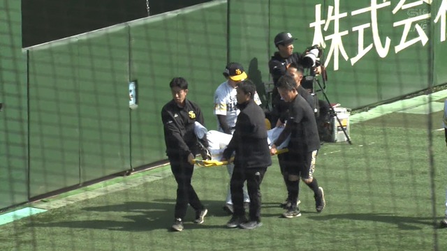 2025_0311_143022_761