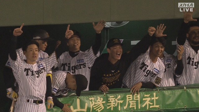 2025_0527_215809_254