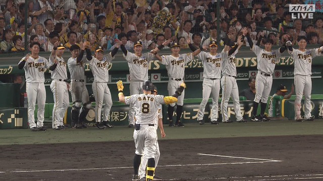 2024_0731_203430_313