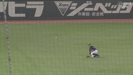 新規