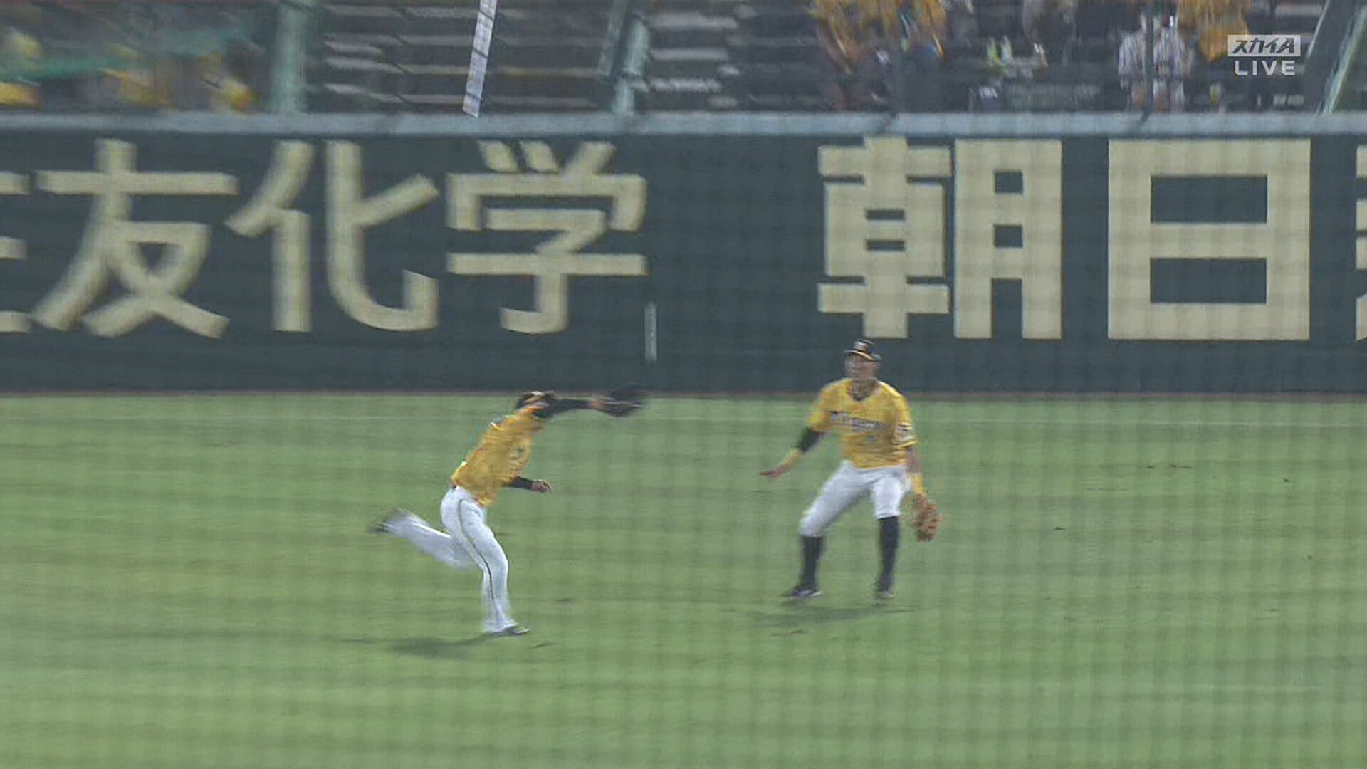 近本 糸井の介護をする 阪神タイガース猛虎魂アンテナ 近本 糸井の介護をする 阪神タイガース猛虎魂アンテナ