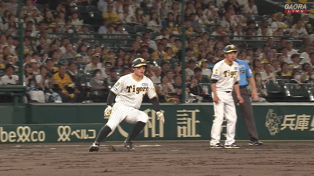 2024_0618_224839_204