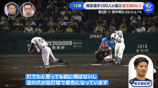 2025_1215_003316_832