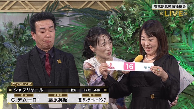 2024_1219_175815_699