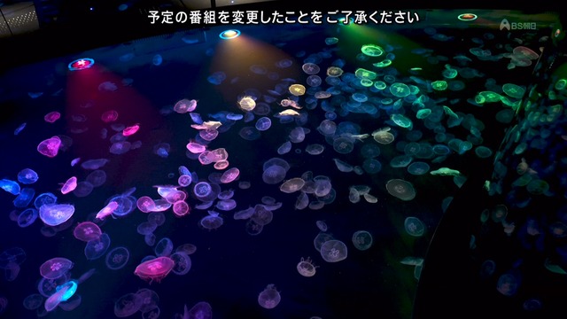 2024_0723_225837_251