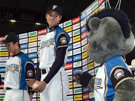 fig13060117170004-p1