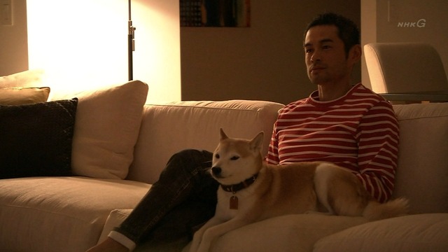 2012_1229_220256_964